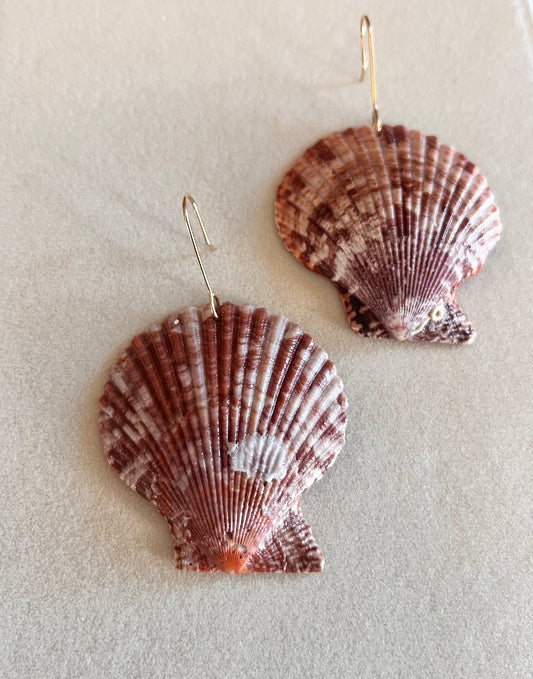 Shut your scallop! earrings