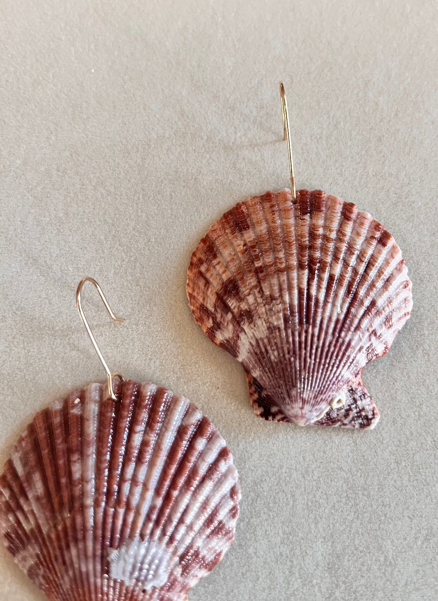 Shut your scallop! earrings