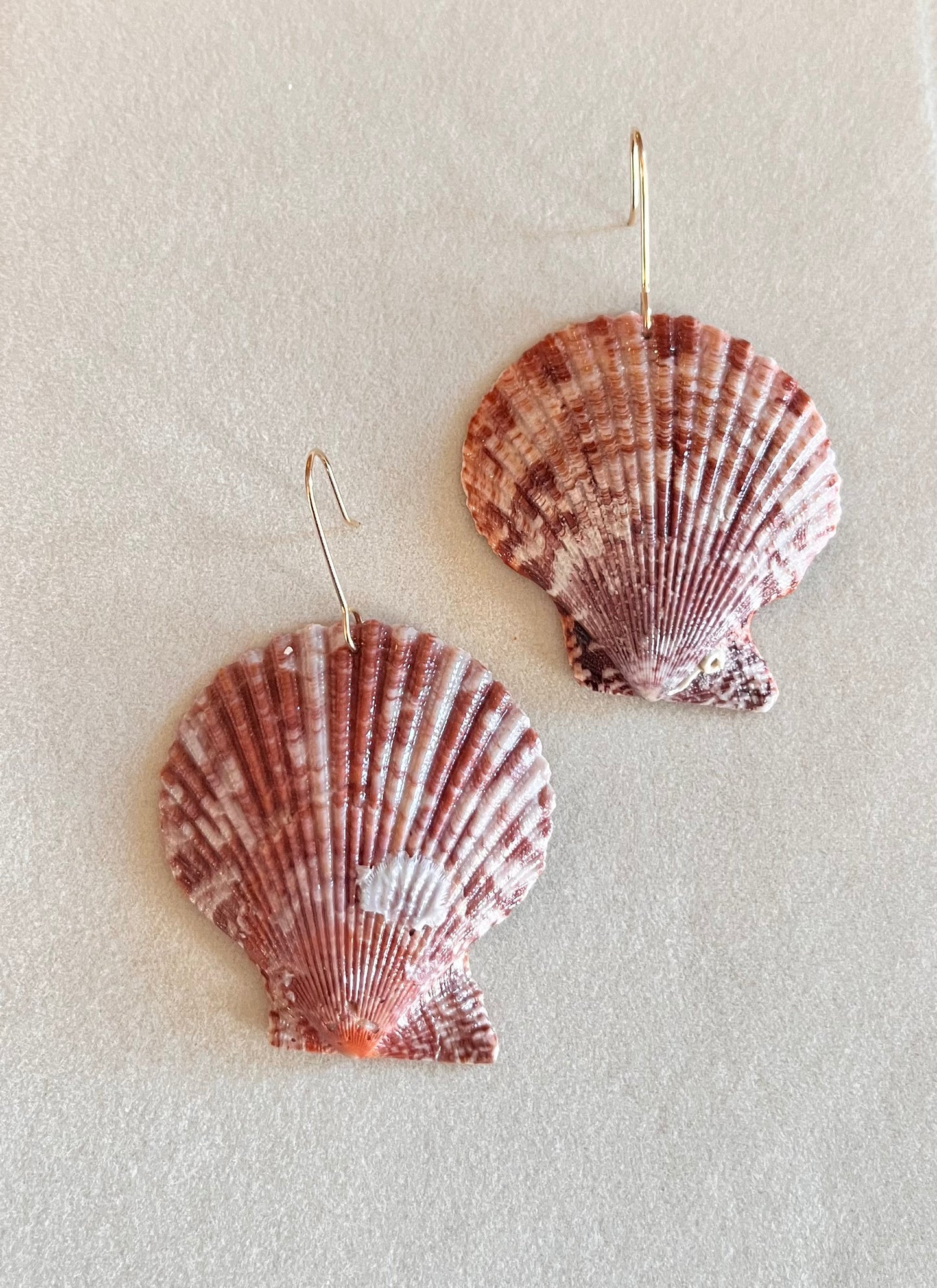 Shut your scallop! earrings