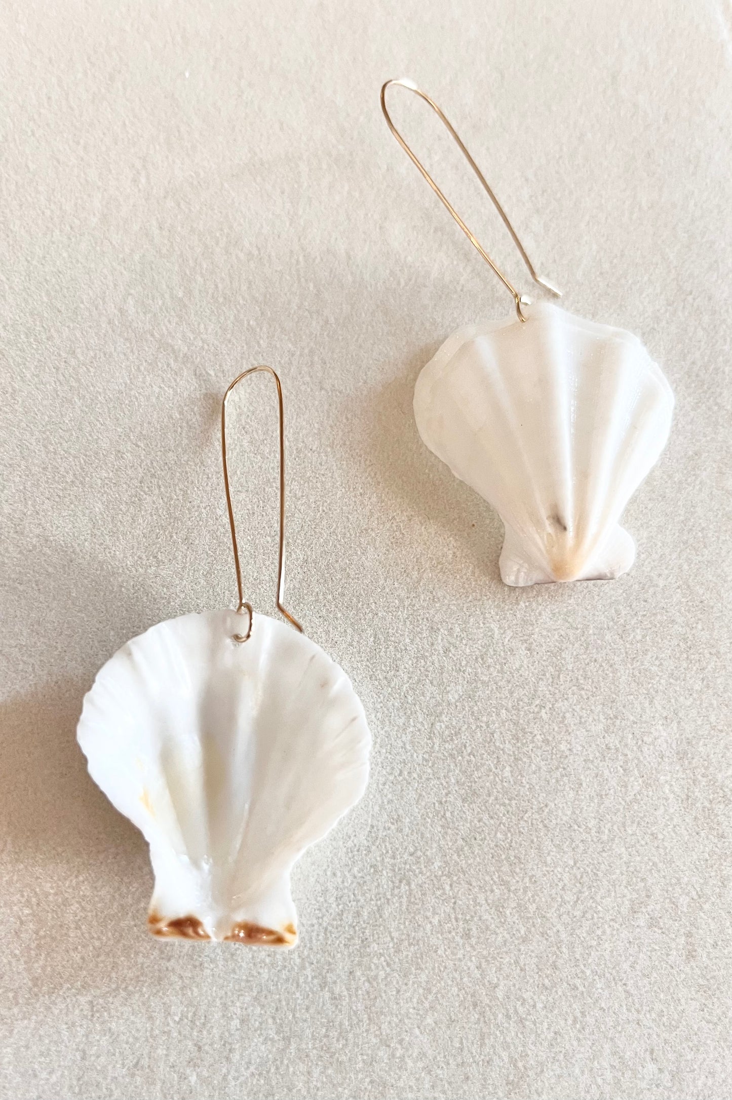 Ocean treasures white