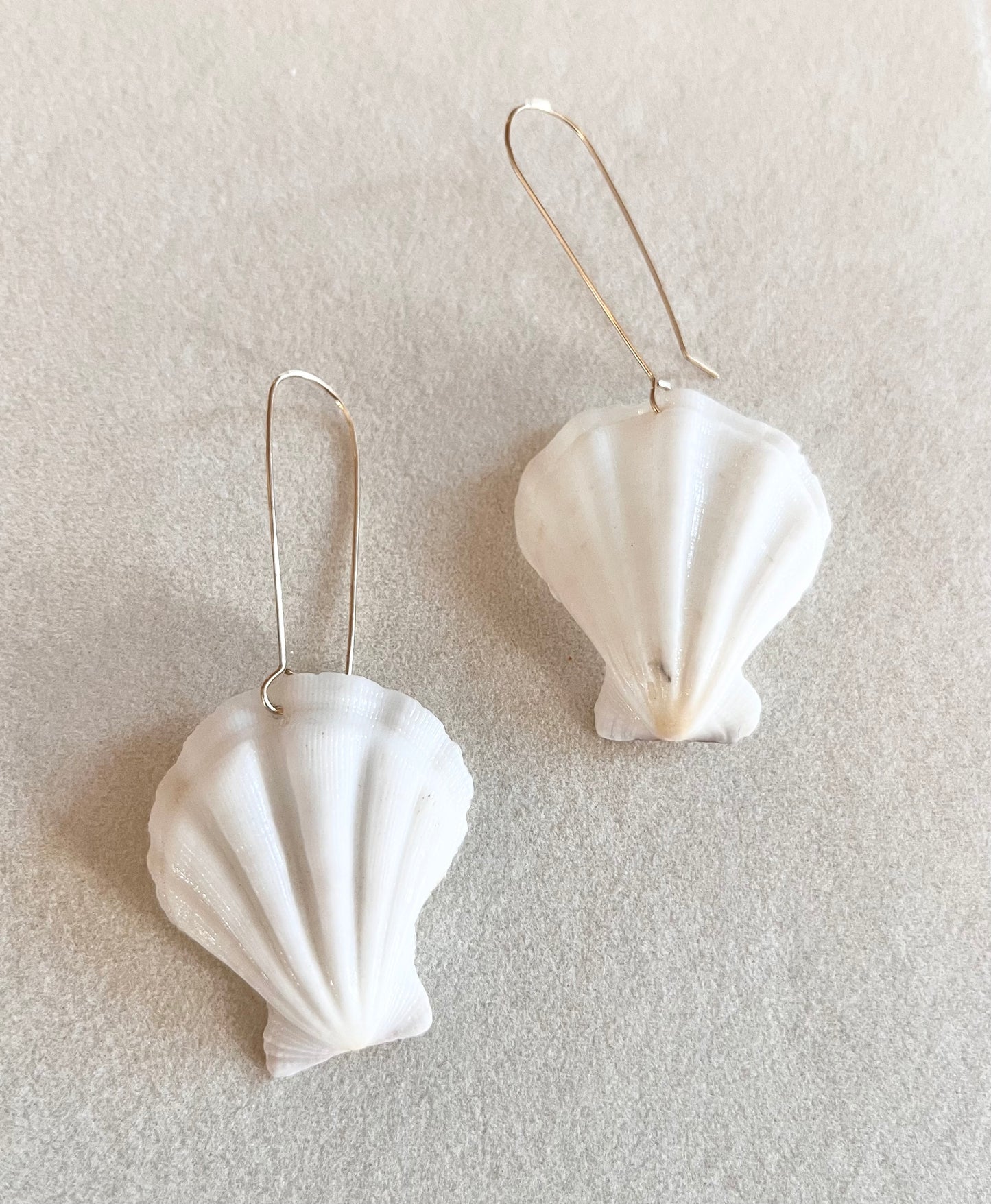 Ocean treasures white