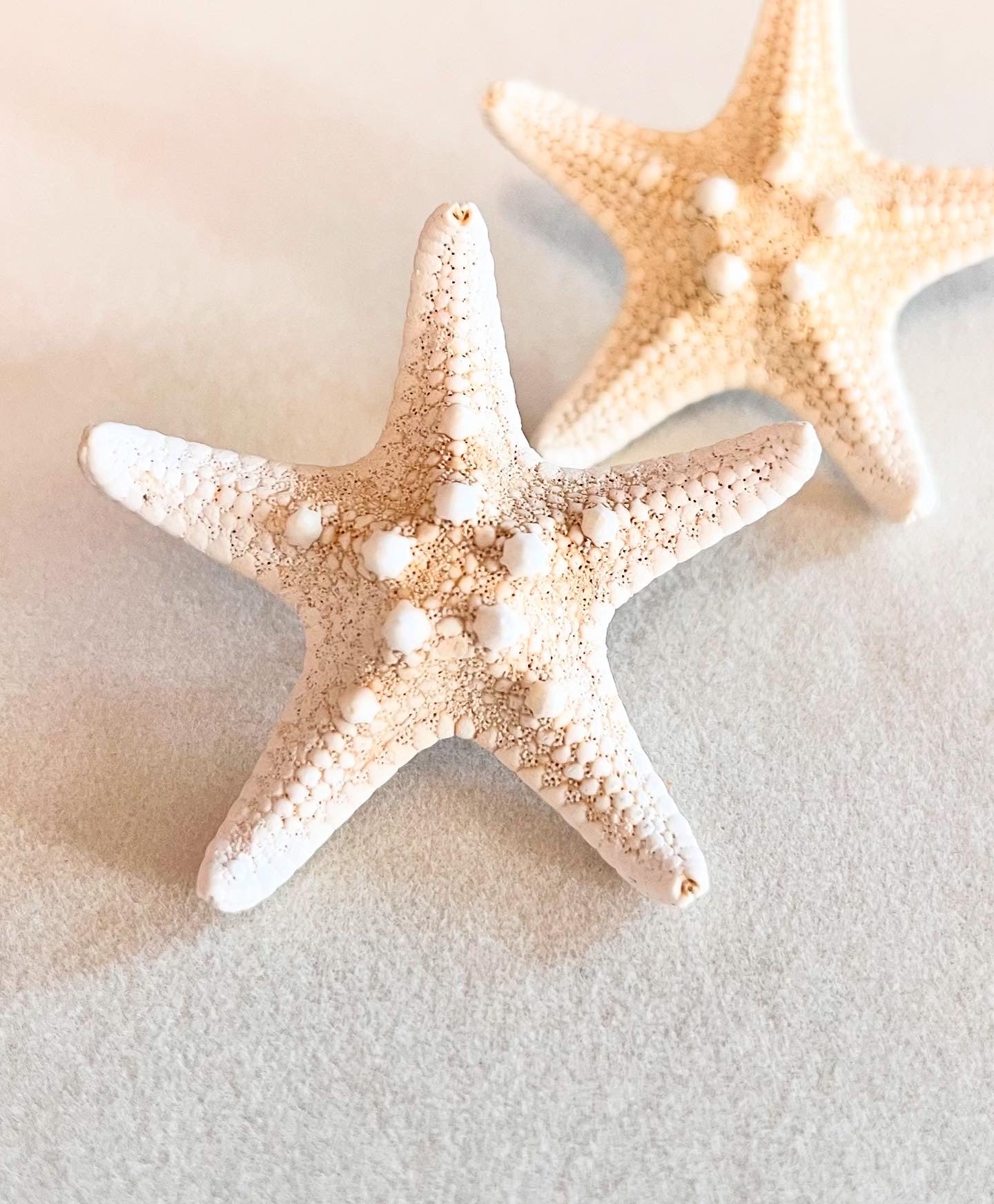 Mermaid friends studs