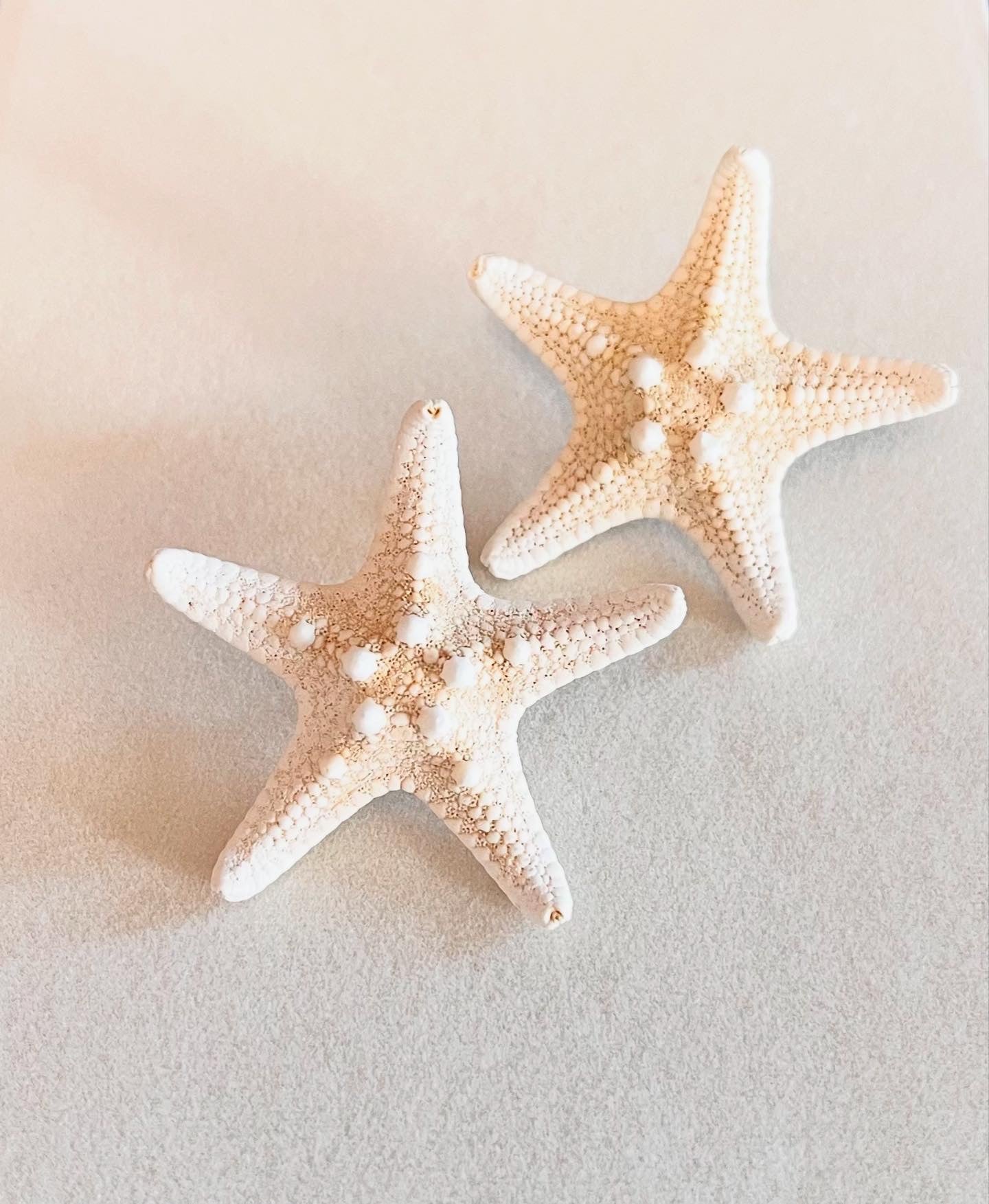 Mermaid friends studs