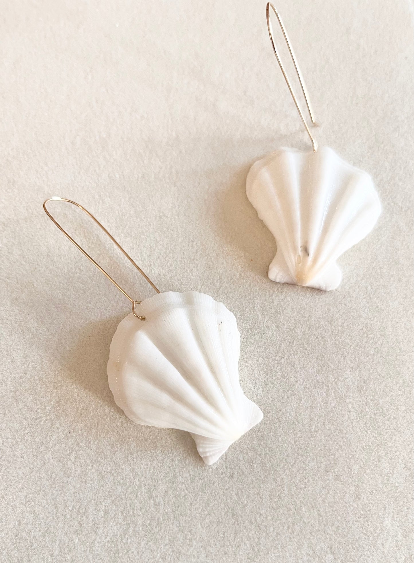 Ocean treasures white